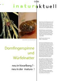 Dornfingerspinne und Würfelnatter