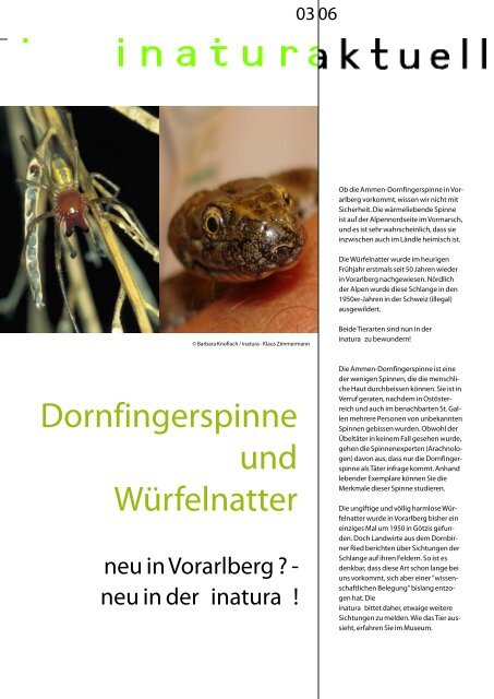 Dornfingerspinne und Würfelnatter