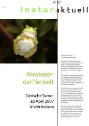 Akrobaten der Tierwelt