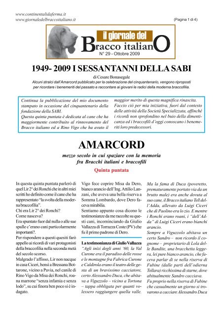 racco italian il giornale del AMARCORD - Bracco Italiano