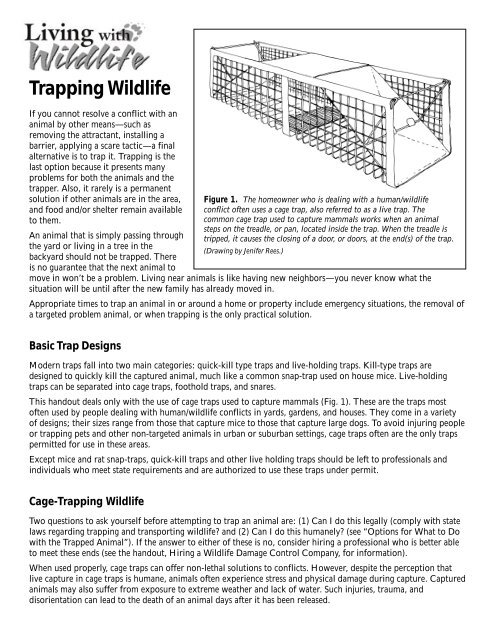 Trapping Wildlife - Washington Department of Fish & Wildlife