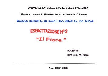 Il Fiore - CSDIM