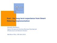 Enel - the long term experience from Smart Metering Implementation