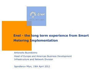 Enel - the long term experience from Smart Metering Implementation