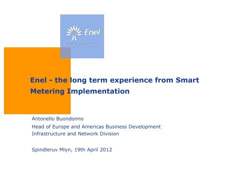 Enel - the long term experience from Smart Metering Implementation
