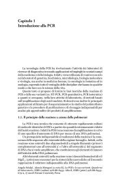 Capitolo 1 - Introduzione alla PCR (PDF) - Firenze University Press