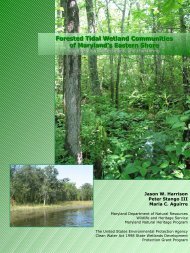 tidal hardwood swamps - Maryland Department of Natural Resources