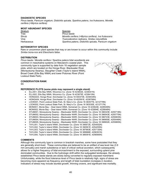 tidal hardwood swamps - Maryland Department of Natural Resources