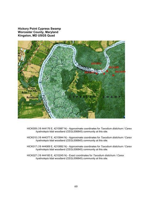 tidal hardwood swamps - Maryland Department of Natural Resources