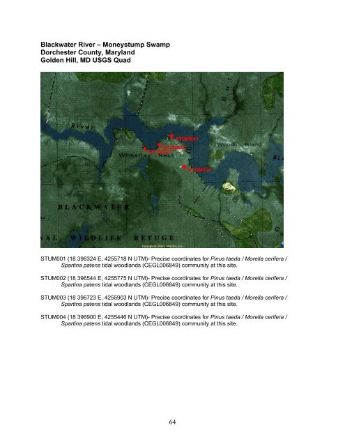 tidal hardwood swamps - Maryland Department of Natural Resources
