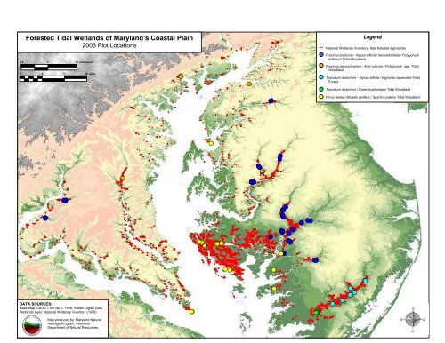 tidal hardwood swamps - Maryland Department of Natural Resources