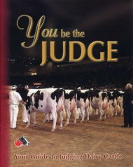 You Be The Judge - Holstein Canada