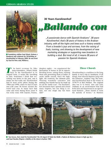 Bailando Con Caballos Arabes - KB-Arabians.com