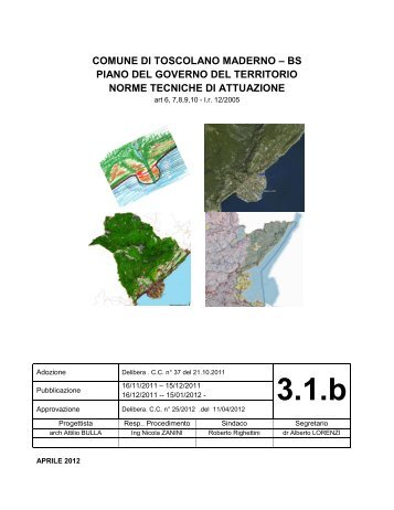3 1 b Norme Tecniche di Attuazione del PGT - Comune di Toscolano ...