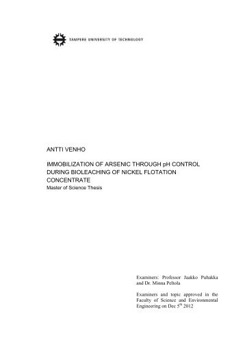 ANTTI VENHO IMMOBILIZATION OF ARSENIC THROUGH pH ...