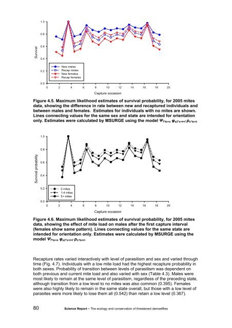 The ecology and conservation of threatened damselflies