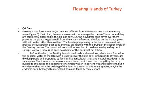 Floating Islands of Turkey