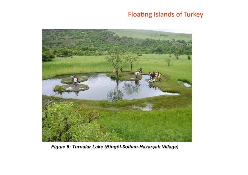 Floating Islands of Turkey