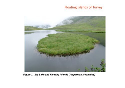 Floating Islands of Turkey