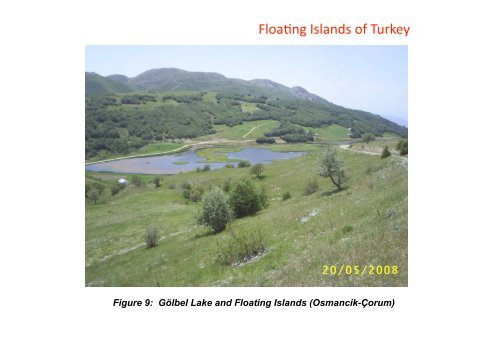 Floating Islands of Turkey