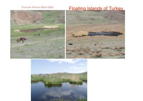 Floating Islands of Turkey