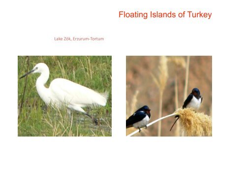 Floating Islands of Turkey