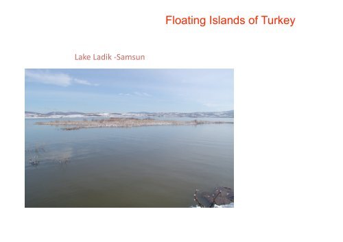 Floating Islands of Turkey