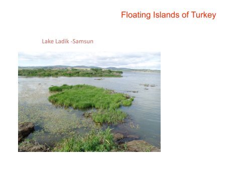 Floating Islands of Turkey