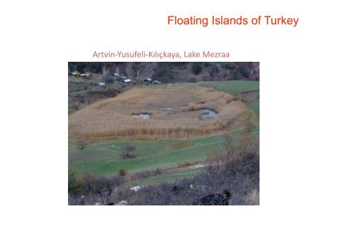 Floating Islands of Turkey