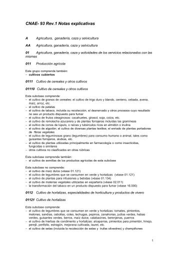 CNAE- 93 Rev.1 Notas explicativas