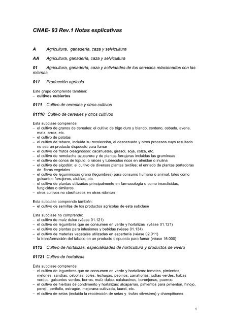 CNAE- 93 Rev.1 Notas explicativas