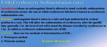 ESR(Erythrocyte Sedime - uCoz