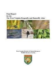 Final Report for the The West Virginia Dragonfly and Damselfly Atlas