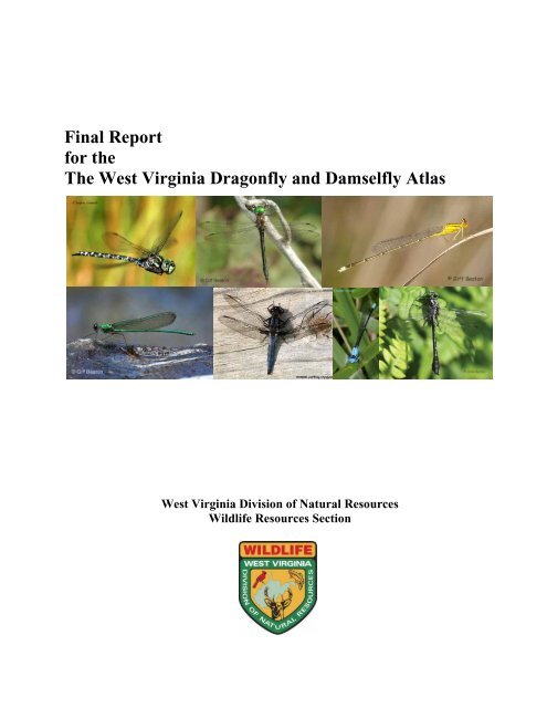 Final Report for the The West Virginia Dragonfly and Damselfly Atlas