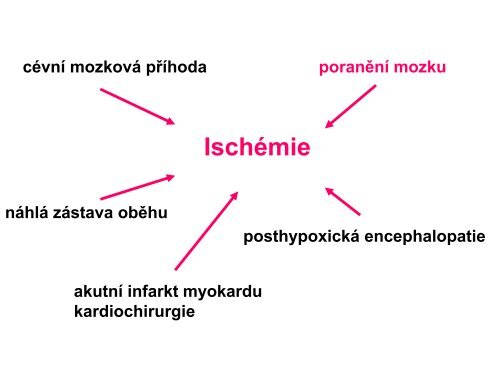 Hypotermie u TBI – up to date 2011 - Česká společnost ...