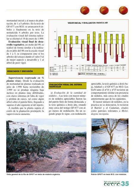 revista agraria - número 16 - IVIA