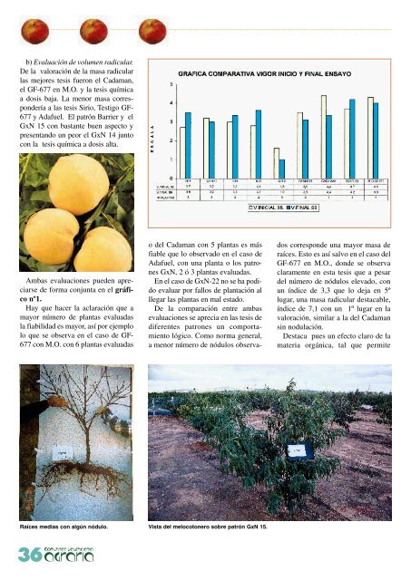 revista agraria - número 16 - IVIA