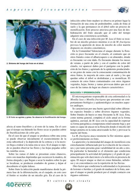 revista agraria - número 16 - IVIA