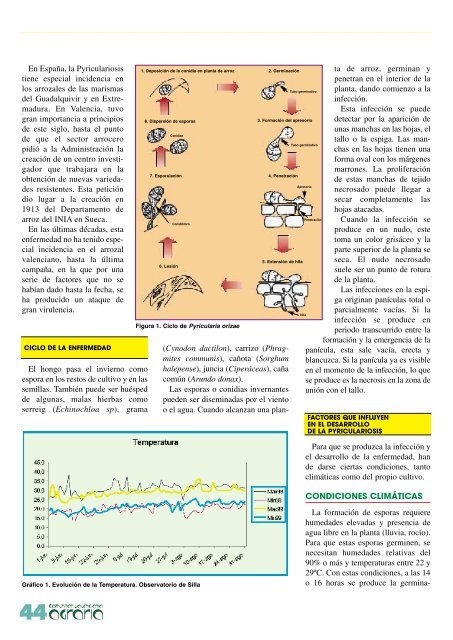 revista agraria - número 16 - IVIA