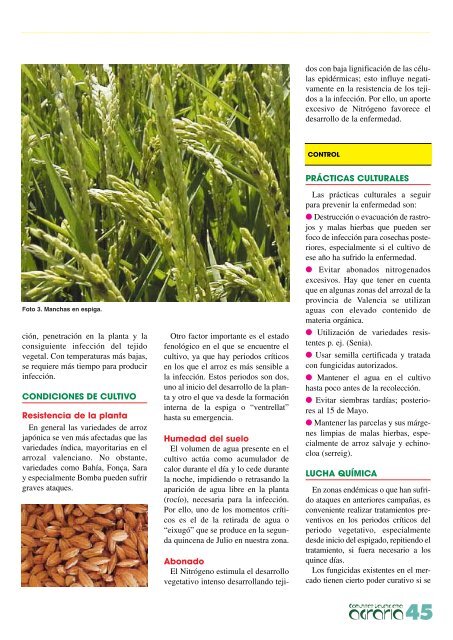 revista agraria - número 16 - IVIA