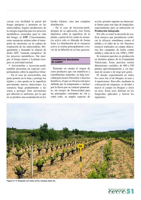 revista agraria - número 16 - IVIA