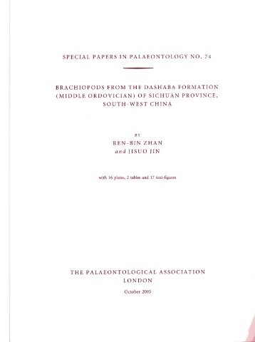 special papers in palaeontology no. 74 brachiopods from the ...