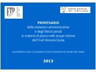 PRONTUARIO delle violazioni amministrative e degli illeciti penali in ...