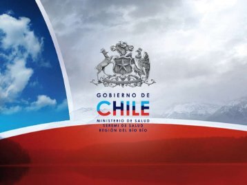 Catastro Regional de VIF - SEREMI de Salud Región del Biobío.
