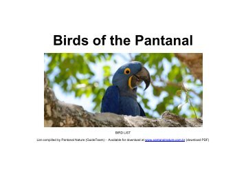 Pantanal's bird checklist - PANTANAL NATURE
