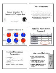 Sexual selection III: inter-sexual selection