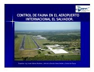 control de fauna en el aeropuerto internacional el salvador.