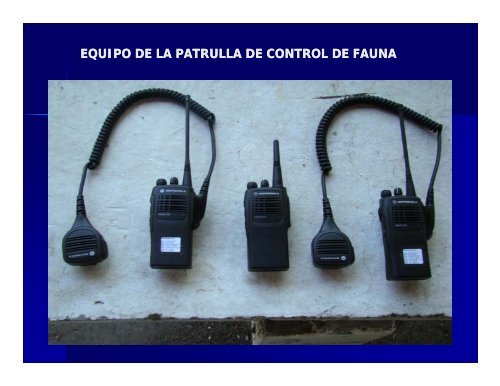 control de fauna en el aeropuerto internacional el salvador.