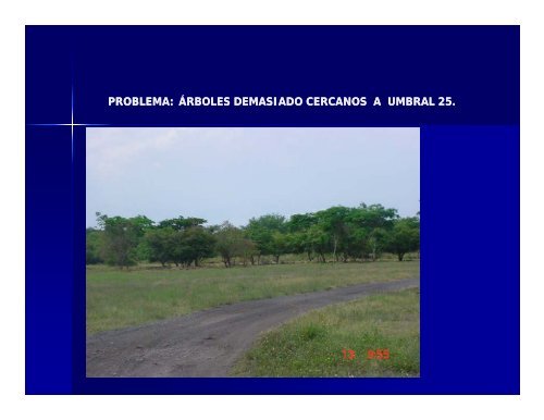 control de fauna en el aeropuerto internacional el salvador.