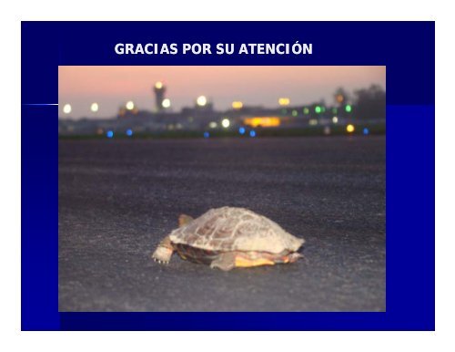 control de fauna en el aeropuerto internacional el salvador.